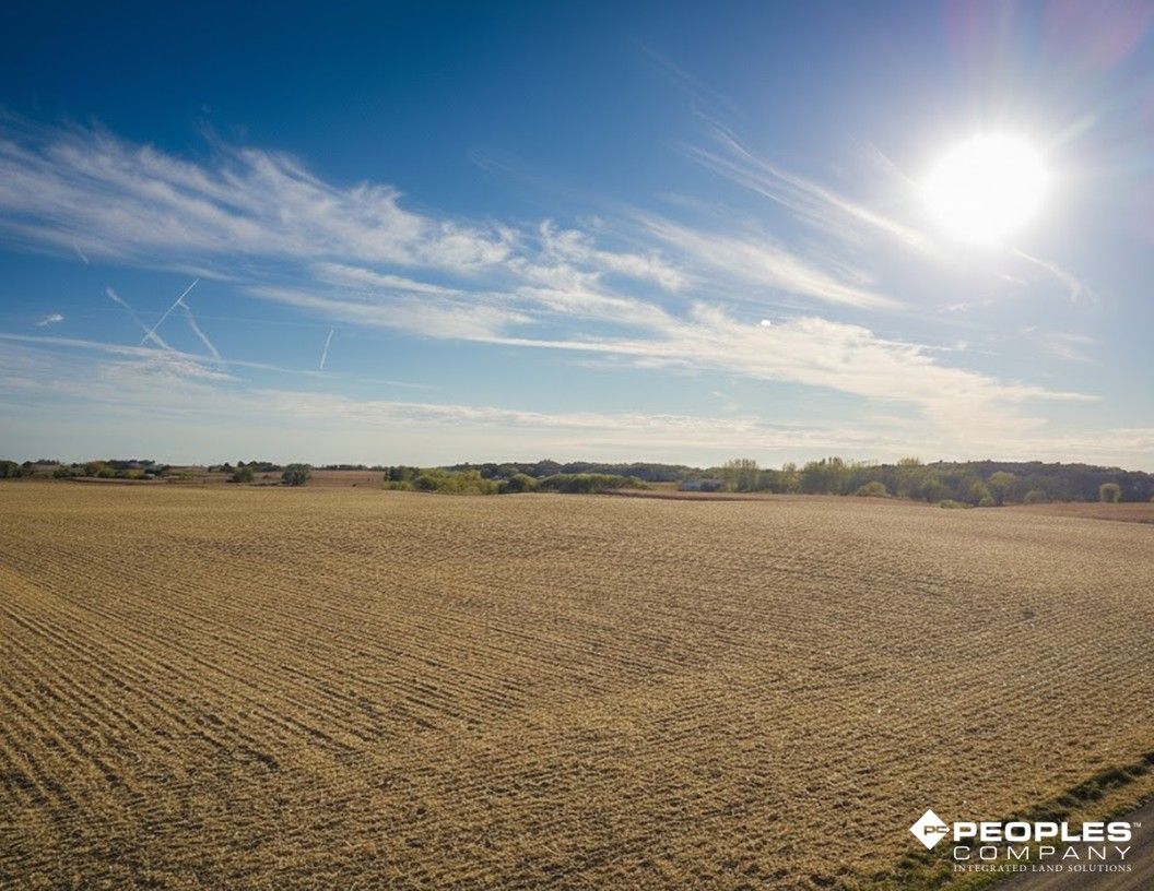 Listing Photo: Freeborn County Minnesota Farmland For Sale